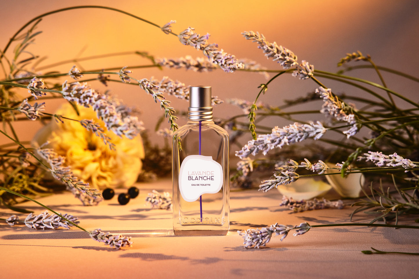 Lavande Blanche Eau de Toilette